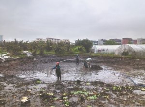 涵江河道鱼塘清淤